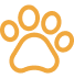 Imagen patita de perro